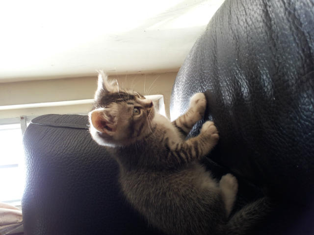˵