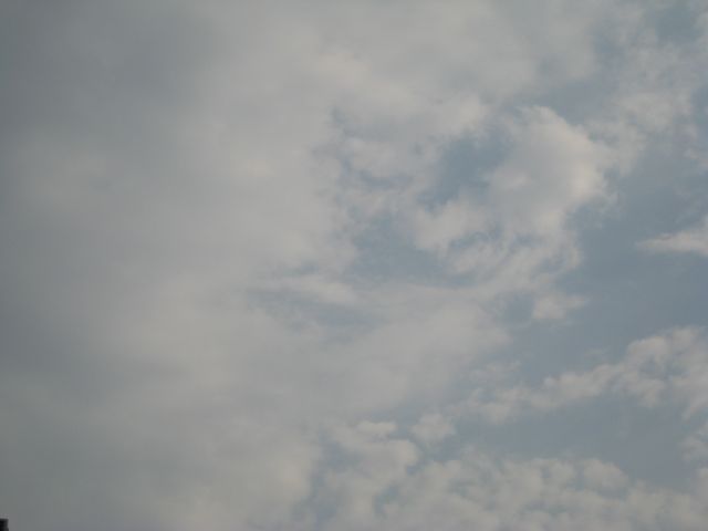 ˵