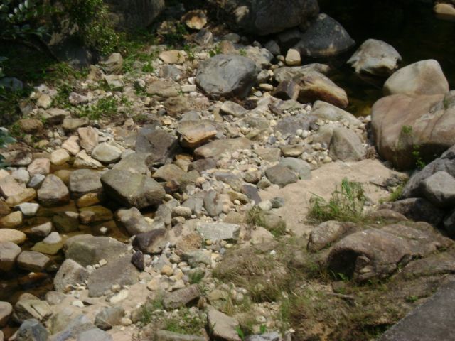 ˵