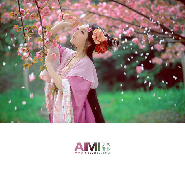 �˵����