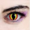 Bigbig-eye ���N��