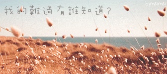 ˵