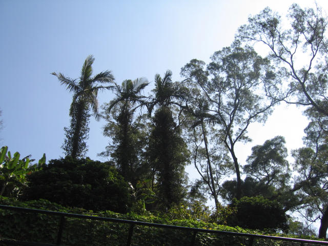 ˵