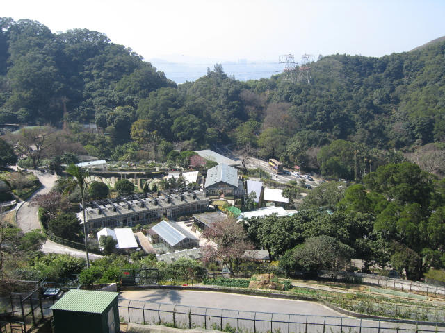 ˵
