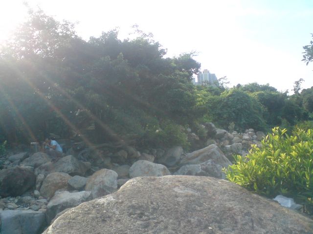 ˵