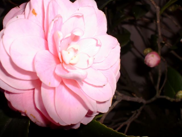 ˵