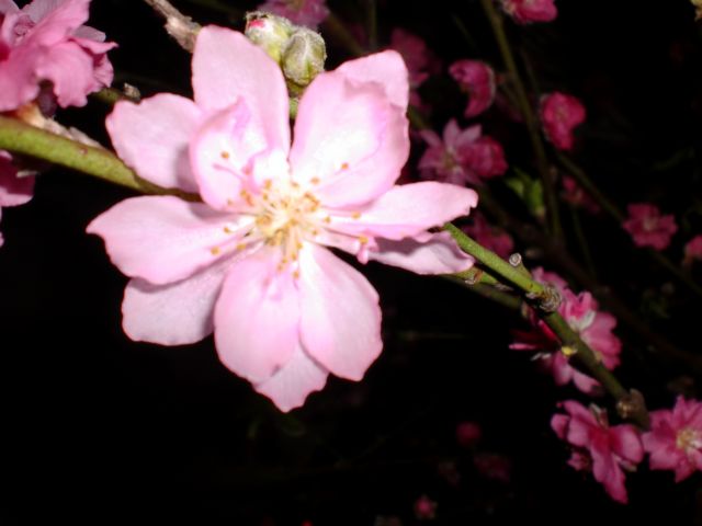 ˵