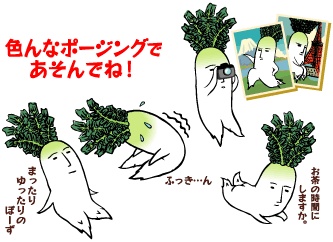 ˵