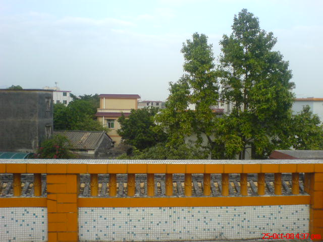 ˵
