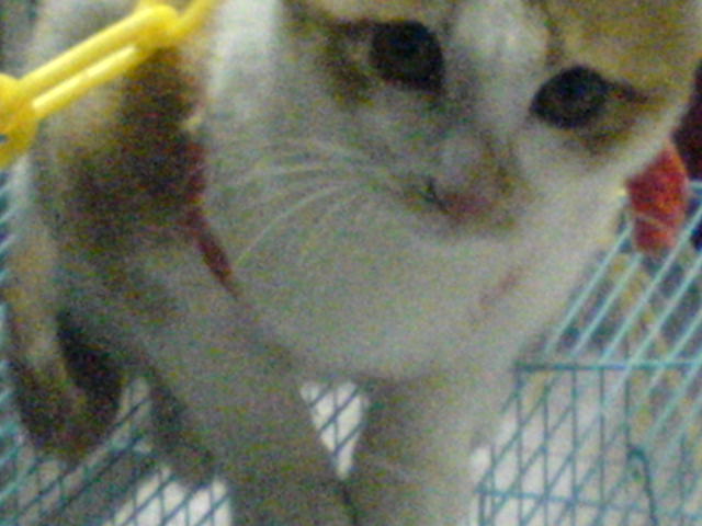 ˵
