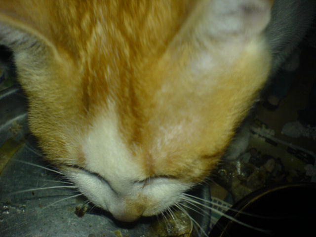 ˵