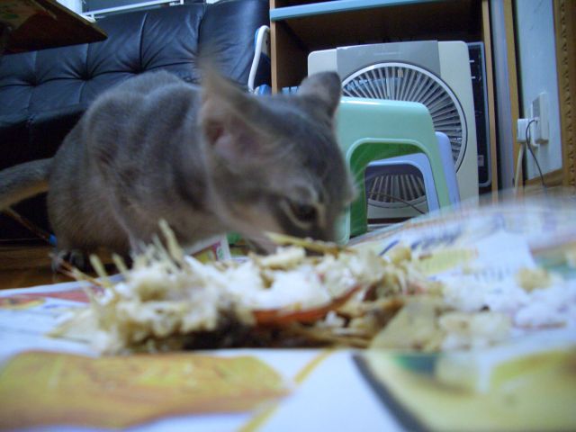 ˵