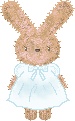 ˵