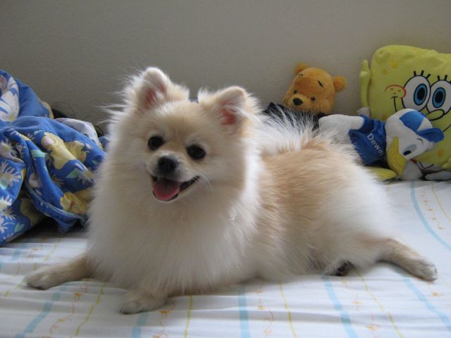˵