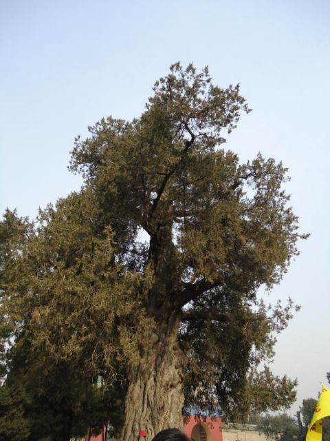 ˵
