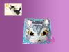 �߿ߪ�������J�|  Cat & Dog 3D Cake