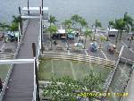 ˵