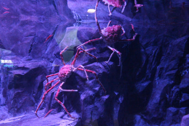 ˵