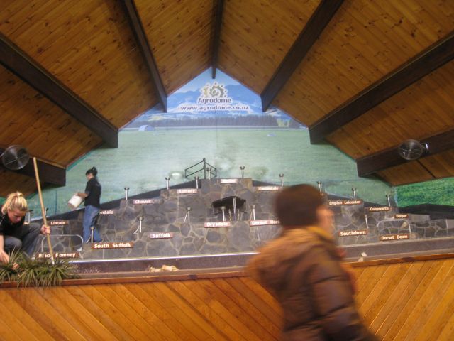 �˵����