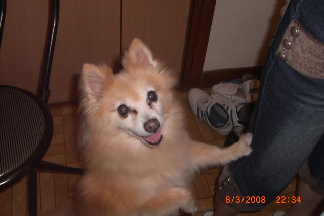 ˵