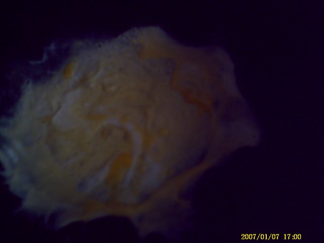 ˵
