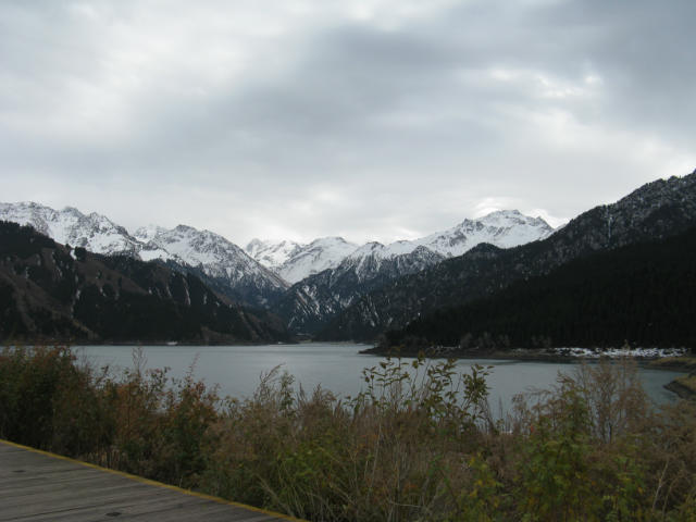 ˵