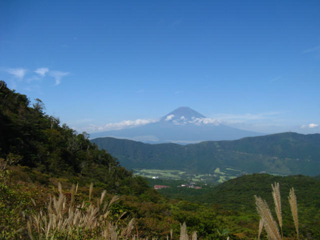 ˵