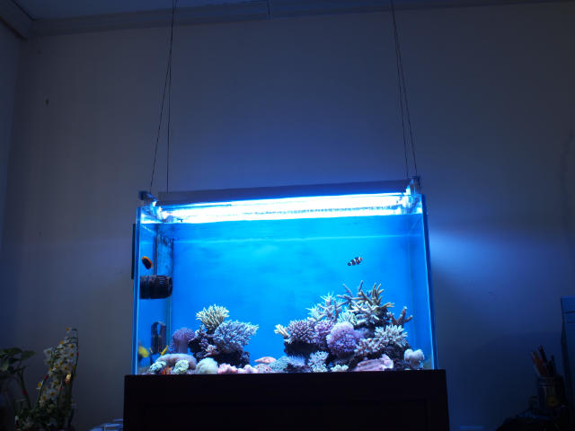 ˵