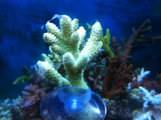 ˵