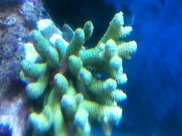 ˵