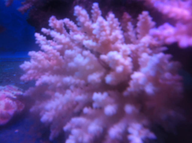 ˵