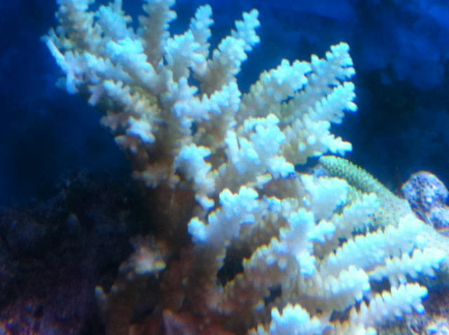 ˵