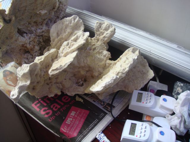 ˵