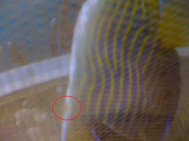 ˵