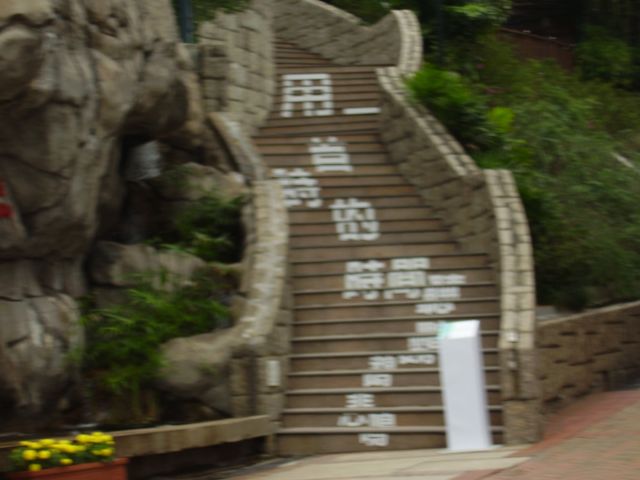 ˵