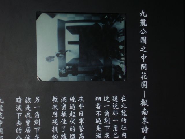 ˵