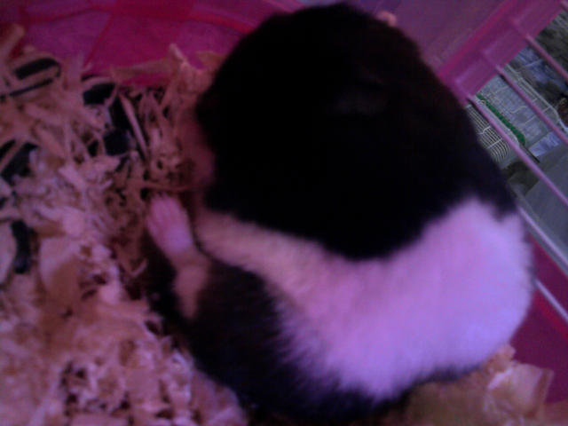 ˵