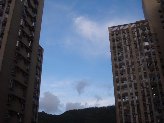 ˵