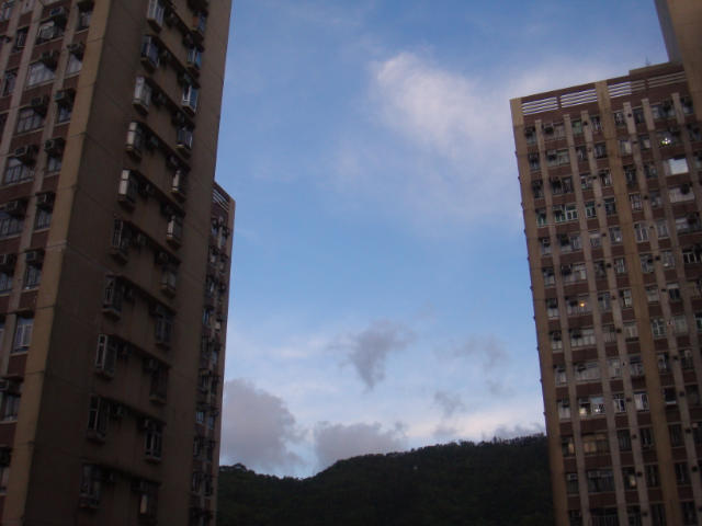 ˵
