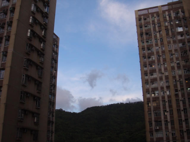 ˵