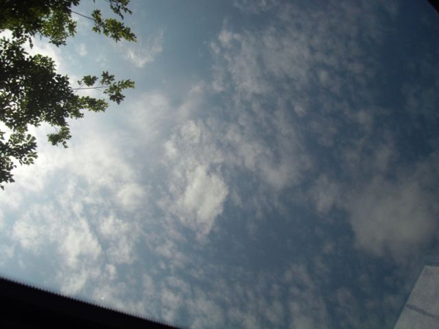 ˵