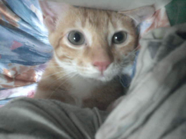 ˵