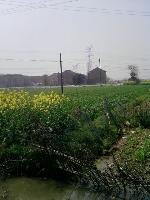 ˵